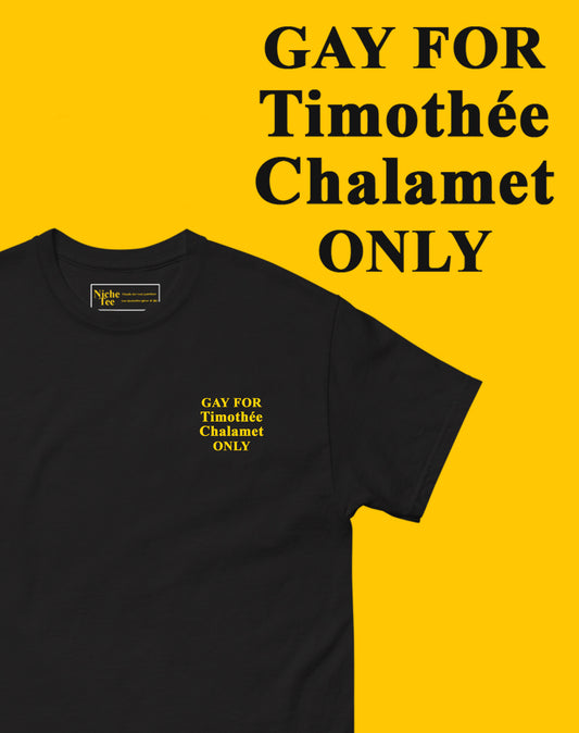GAY FOR TIMOTHEE CHALAMET ONLY TEE